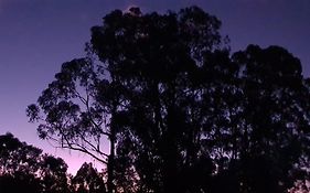 May Queen Forest Cottage Manjimup